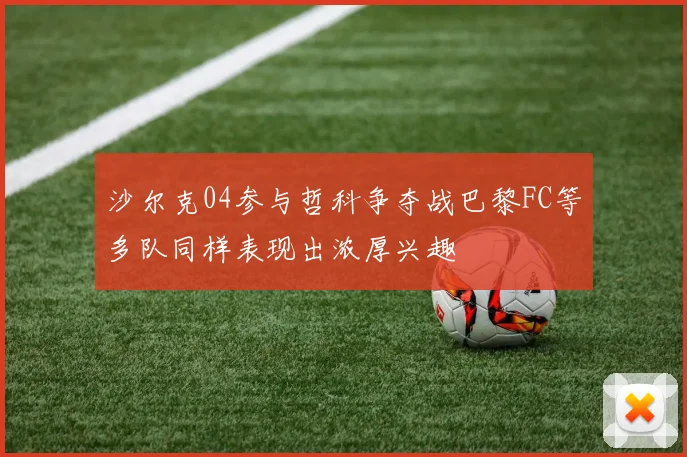 沙尔克04参与哲科争夺战巴黎FC等多队同样表现出浓厚兴趣