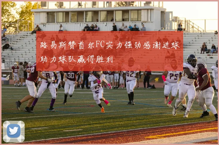 路易斯赞首尔FC实力强劲感谢进球助力球队赢得胜利