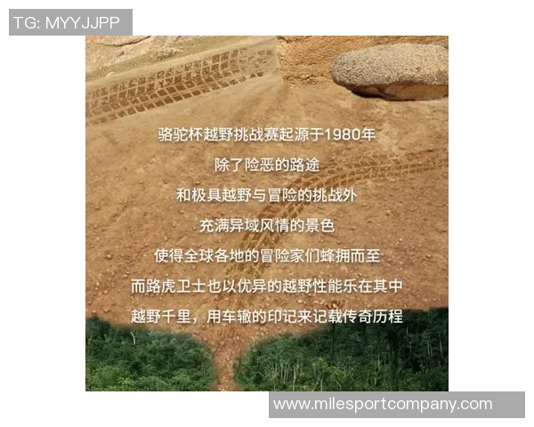 沙足传奇征战中超的荣耀与挑战之路